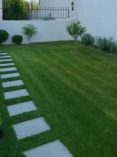 Düzenli Bahçe Bakımı