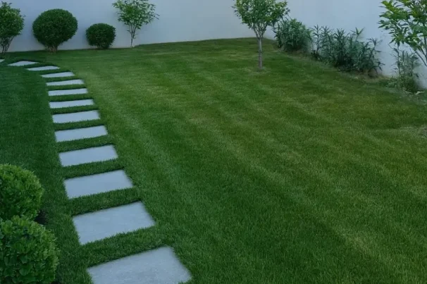 Düzenli Bahçe Bakımı Düzenli Bahçe Bakımı