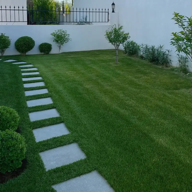 Düzenli Bahçe Bakımı