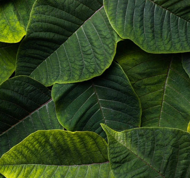 bg-landing bg-landing