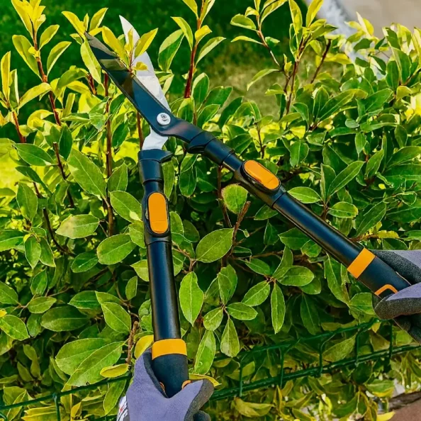 GENEL BAHÇE TEMİZLEME HİZMETİ MUĞLA