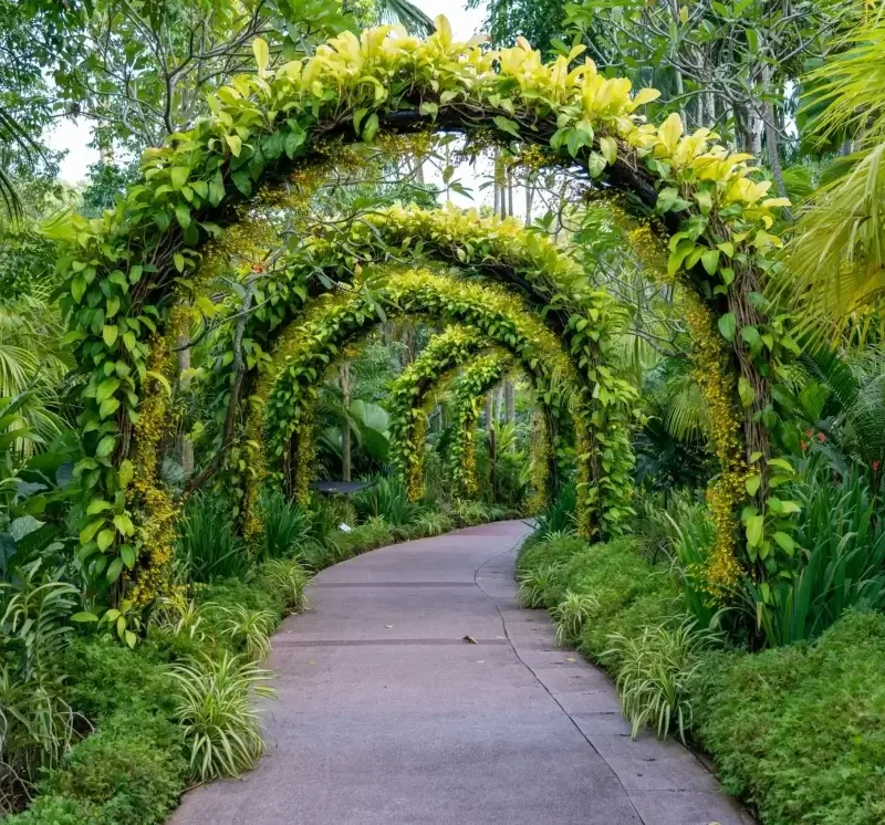 Milas Peyzaj_ Bahçeniz Milas’ın Doğasına Yakışsın Milas Peyzaj_ Bahçeniz Milas’ın Doğasına Yakışsın