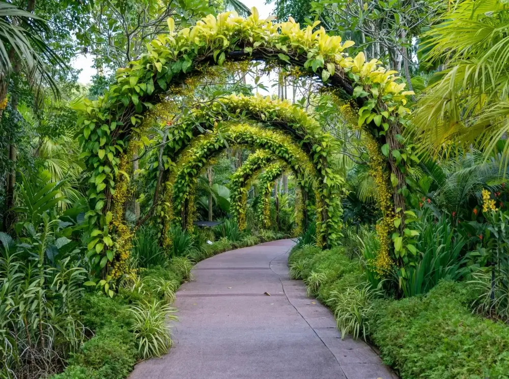 Milas Peyzaj_ Bahçeniz Milas’ın Doğasına Yakışsın