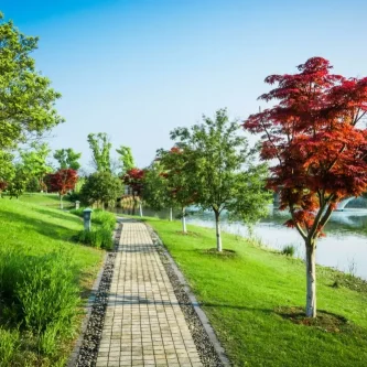 Modern Peyzaj Trendleri 2025’te Bahçelerde Öne Çıkan Tasarımlar