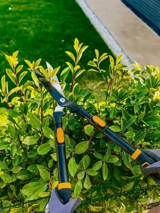 bahce duzeni 4 bahce duzeni 4