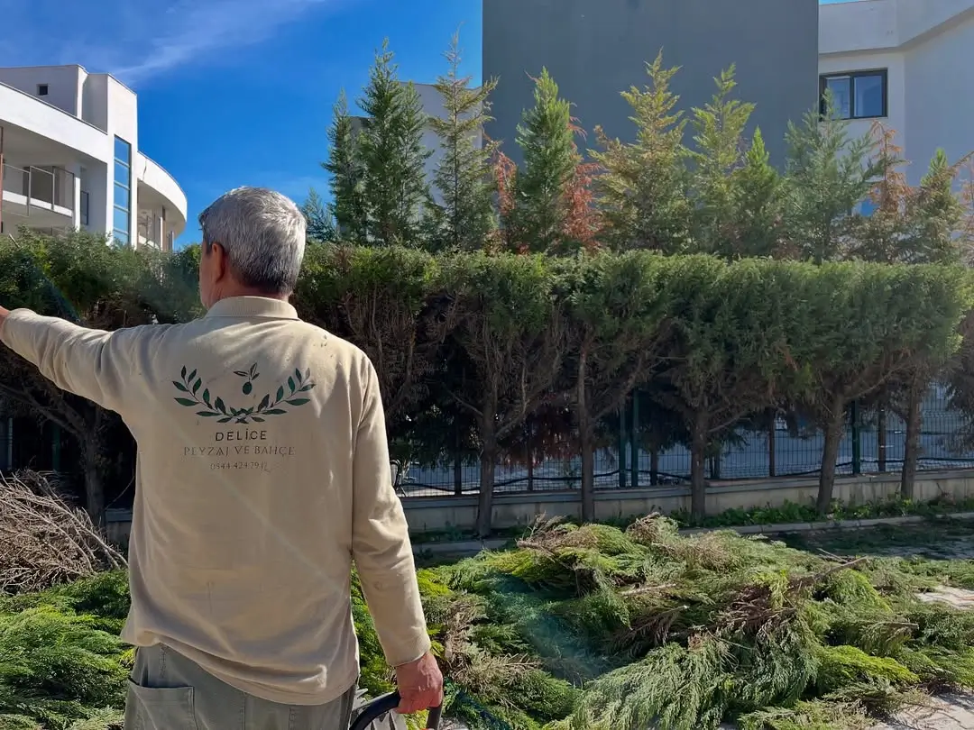 Milas Peyzaj _ Delice Peyzaj ve Bahçe Düzenleme